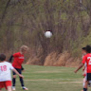 Meet your Posher, Misty